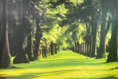 WhatsApp-Image-2026-04-12-at-14.30.18