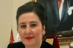 ASLI OK